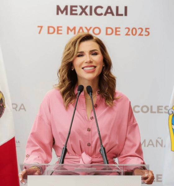 Gobernadora de Baja California